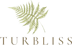 Turbliss logo
