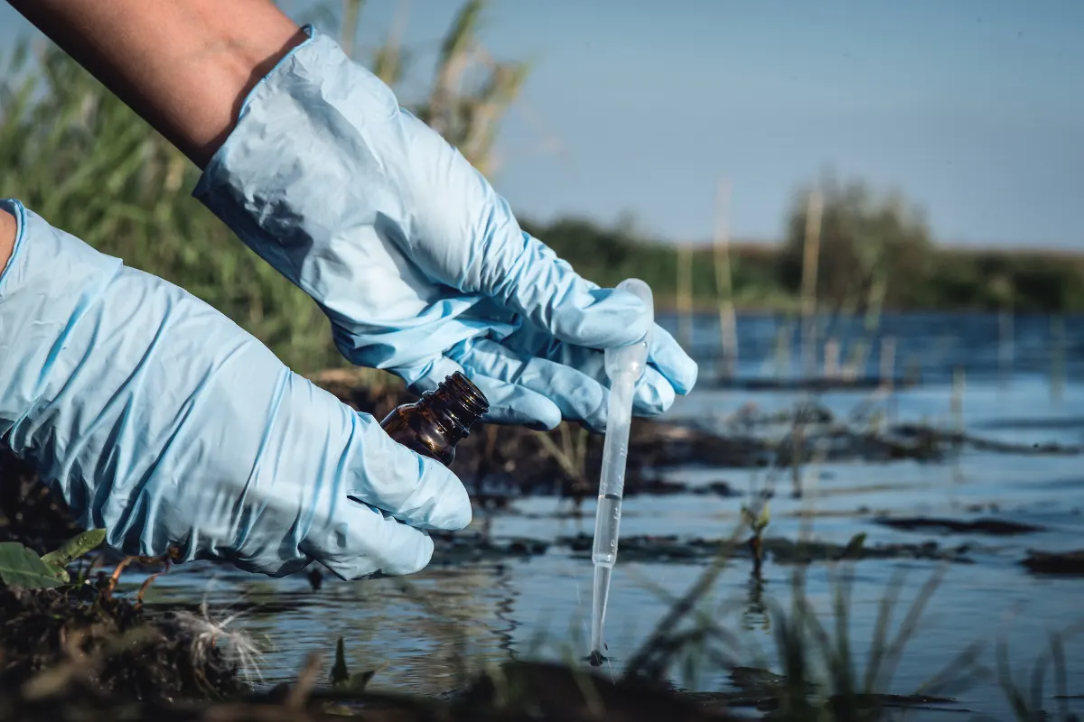 Peat bog research landscape
