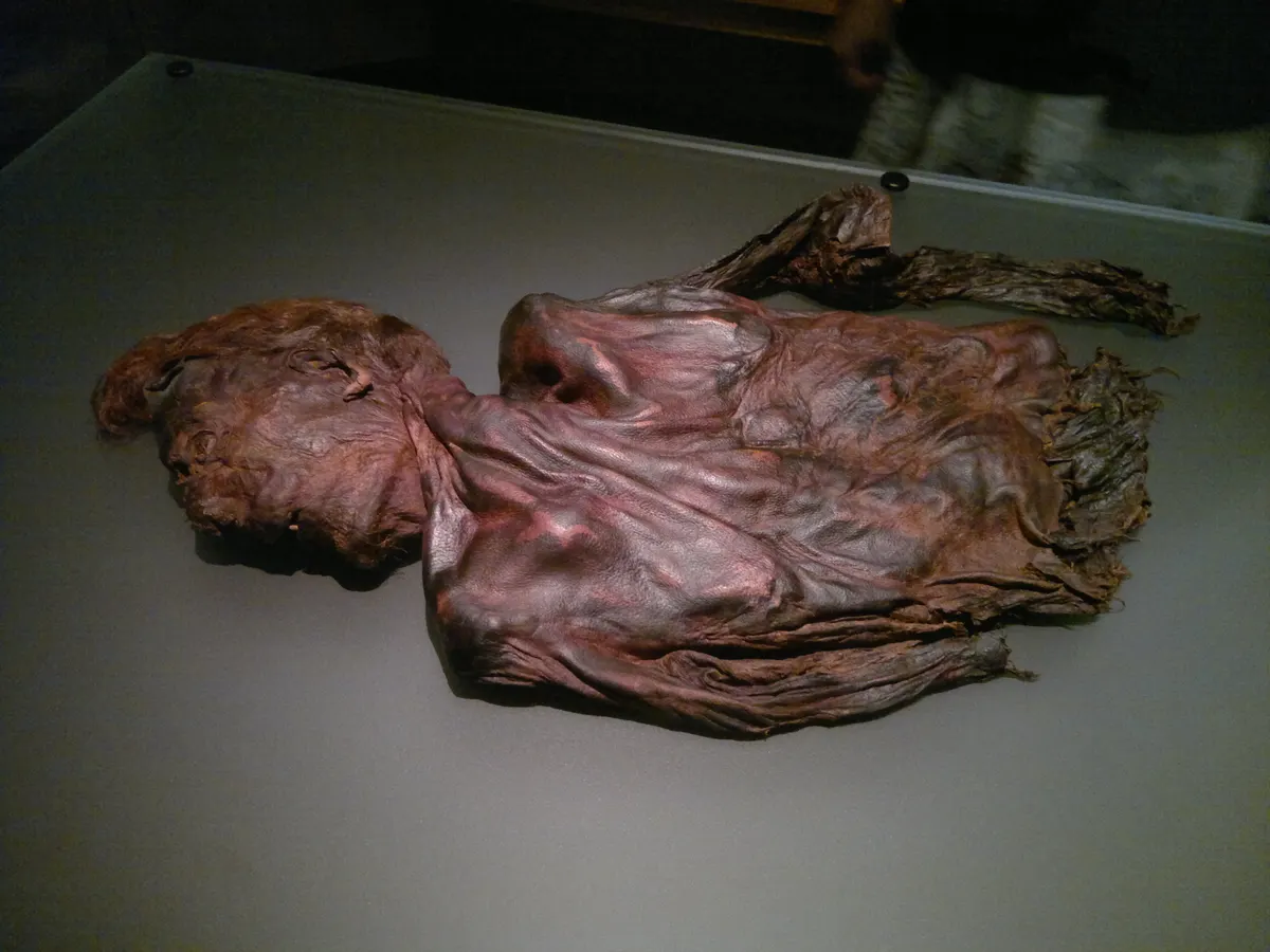 Clonycavan Man — preserved face and styled hair, National Museum of Ireland