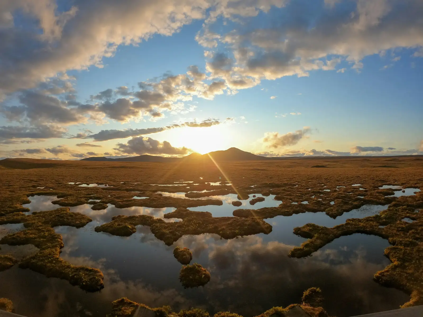 Peat bog landscape